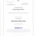 Powiększ obraz: certificate 3