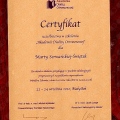 Powiększ obraz: certificate 1