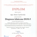 Powiększ obraz: certificate 2