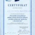 Powiększ obraz: certificate 14