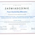 Powiększ obraz: certificate 7