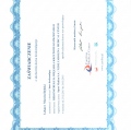 Powiększ obraz: certificate 2