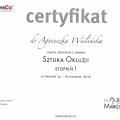 Powiększ obraz: certificate 10
