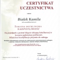 Powiększ obraz: certificate 45