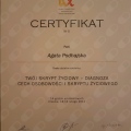 Powiększ obraz: certificate 4