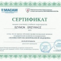 Powiększ obraz: certificate 13