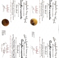 Powiększ obraz: certificate 8