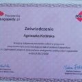 Powiększ obraz: certificate 2