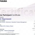Powiększ obraz: certificate 23