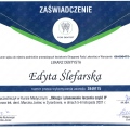 Powiększ obraz: certificate 9
