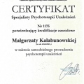 Powiększ obraz: certificate 10