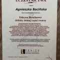Powiększ obraz: certificate 11