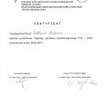 Powiększ obraz: certificate 3