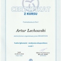 Powiększ obraz: certificate 6
