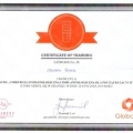 Powiększ obraz: certificate 28