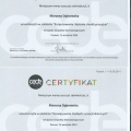 Powiększ obraz: certificate 12