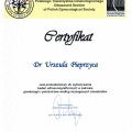 Powiększ obraz: certificate 2