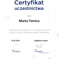 Powiększ obraz: certificate 1