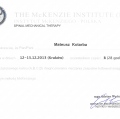 Powiększ obraz: certificate 10