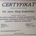 Powiększ obraz: certificate 11