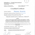 Powiększ obraz: certificate 6