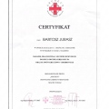 Powiększ obraz: certificate 6