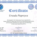 Powiększ obraz: certificate 13