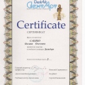 Powiększ obraz: certificate 5