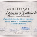 Powiększ obraz: certificate 20