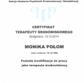 Powiększ obraz: certificate 6