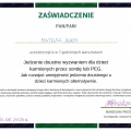 Powiększ obraz: certificate 46