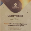 Powiększ obraz: certificate 3