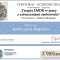 Powiększ obraz: certificate 19