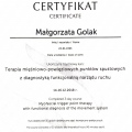 Powiększ obraz: certificate 5