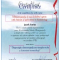 Powiększ obraz: certificate 1