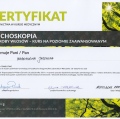 Powiększ obraz: certificate 9