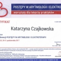 Powiększ obraz: certificate 9