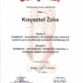 Powiększ obraz: certificate 19