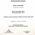 Powiększ obraz: certificate 5