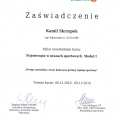Powiększ obraz: certificate 12