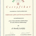 Powiększ obraz: certificate 15