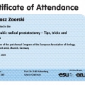 Powiększ obraz: certificate 10