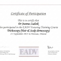 Powiększ obraz: certificate 3