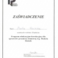 Powiększ obraz: certificate 5