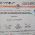 Powiększ obraz: certificate 19