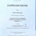 Powiększ obraz: certificate 4