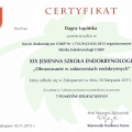 Powiększ obraz: certificate 4