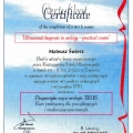 Powiększ obraz: certificate 9