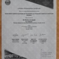 Powiększ obraz: certificate 1