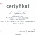 Powiększ obraz: certificate 8